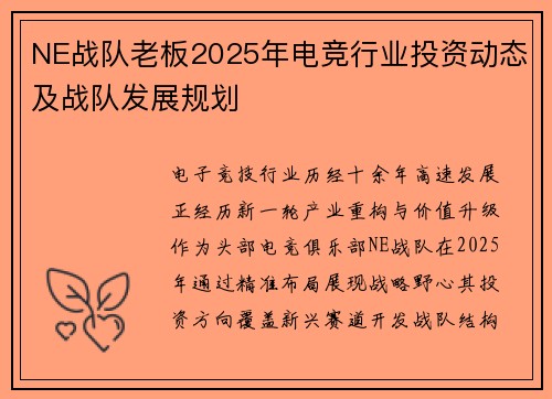 NE战队老板2025年电竞行业投资动态及战队发展规划