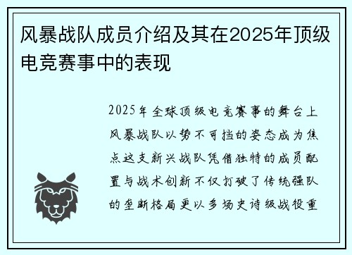 风暴战队成员介绍及其在2025年顶级电竞赛事中的表现