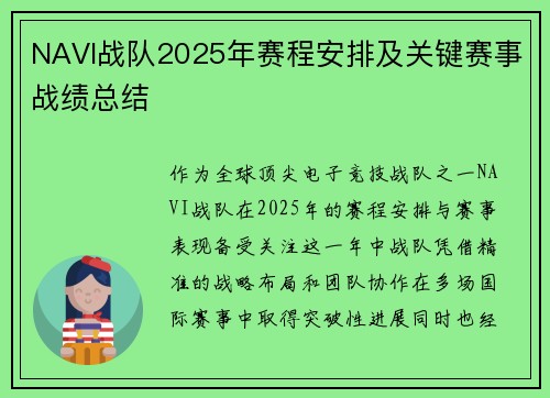 NAVI战队2025年赛程安排及关键赛事战绩总结