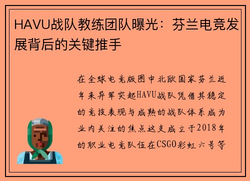 HAVU战队教练团队曝光：芬兰电竞发展背后的关键推手